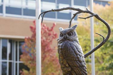 KENNESAW STATE TRANSFER APPLICATION DEADLINE intelligence overview